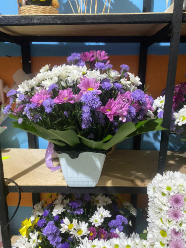 Toko Bunga Terbesar King Florist pahandut – Pilihan Utama Florist Profesional di Kalimantan Teng