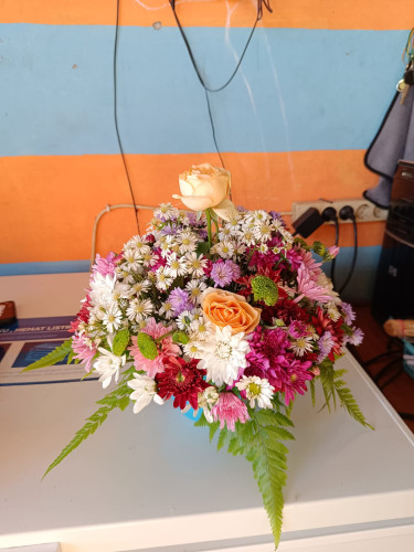 Bunga Meja pahandut